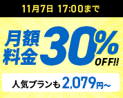 30%OFFڡ 117()17:00ޤ