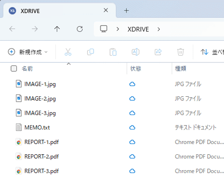 ۥɥ饤֡Windows Ʊե򳫤